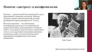 Дезадаптация при стрессе.  Кривоносова Ксения Алексеевна