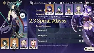 Xiao C0 & Raiden C0 2.3 Spiral Abyss Genshin Impact