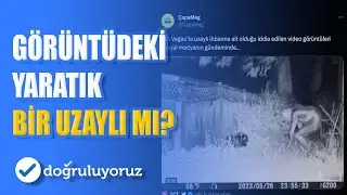 Görüntüdeki yaratık bir uzaylı mı?