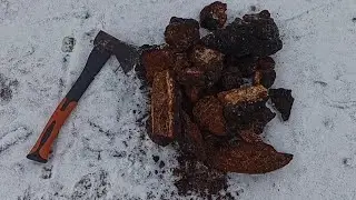 Сбор чаги 2022, выгодно или нет ?