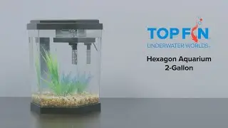 Top Fin Hexagon Fishtank 2 Gallon 