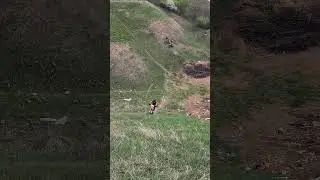 Amateur Enduro | Dirtbike Hills Climbing | Into the sky