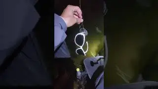 Вот что можно поймать на фидер! 