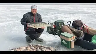 Ну вот и все! Зимний сезон 23-24  закрыл!