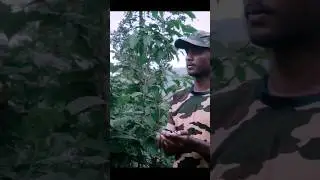 Ek Soldier ki Kahani 🇮🇳🇮🇳#boder #armylover #army #sad #subscribe
