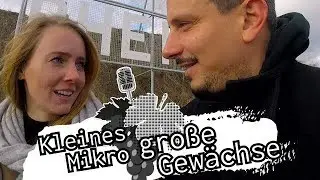 #asktoni - Kleines Mikro Große Gewächse - Juliane Eller // Weingut JUWEL Weine