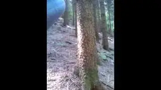 Un pazzo sognatore in cerca di libertà!