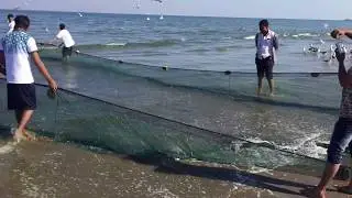 Fishing Saham Beach Oman Exclusive