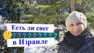 Есть ли снег в Израиле /Горнолыжный курорт на горе Хермон
