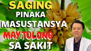Saging : Pinaka-Masustansya at May Tulong sa Sakit  - Payo ni Doc Willie Ong