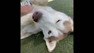 Ellie is so much fun!