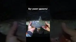 Южный Буг дарит трофеи 🏆