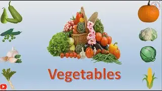 Vegetables name |  Vegetables pictures | Name of vegetables in english | Basic English Learning
