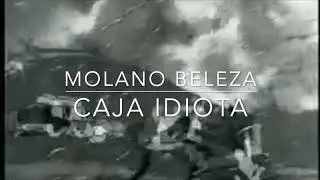 Molano Beleza - Caja Idiota