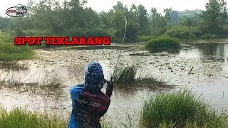 SNEAK INTO PROHIBITED SPOTS