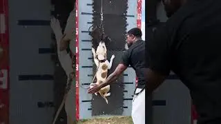 Hero Hang Time ⚔️