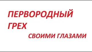 Оглашение. Беседа7. Часть 2.