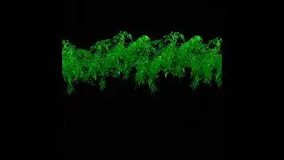 Vimage Tree Effects on Black Screen Full HD 