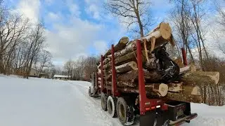 BUYING Firewood Logs? When we have a 100 Acre Woods? Here's Why 