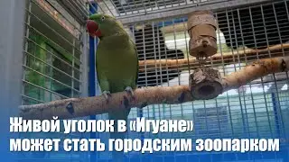 Живой уголок в «Игуане» превратится в небольшой городской зоопарк