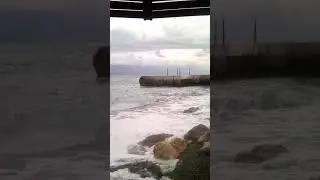 Сосновый мыс