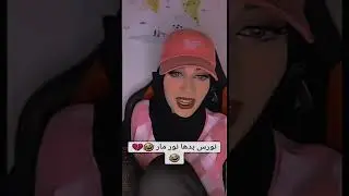 نورس تطلب نور مار 😂😂