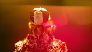 18 - 55 Reverse Macro Photoshop CC Tutorials 161 By Stopbox [Photoshop CC,Adobe Camera RAW]