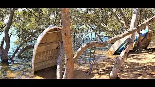 Mangroves Short Walk with old boats :) # Shorts