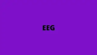 EEG (electroencephalogram)