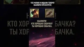 Что Милио и Нидали говорят Наафири (будущий чемпион) при встрече?