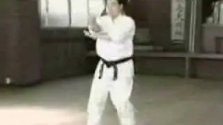 Kyokushin Karate Legends : Top Ten : 3 - 1