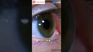 La maravilla del ojo humano #curiosidades #viral #education #cuerpohumano #shorts