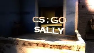 CS:GO - Fragmovie #1 (sally)