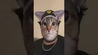 UNUSUAL RANDOM MEMES COMPILATION V68  #memes #shorts