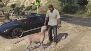 Franklin the Dog Whisperer