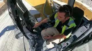 Cat Lift Assist