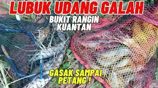 Memancing UDANG GALAH Bukit Rangin Kuantan | Jumpa lubuk kita Gasakk !