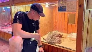 ДАНИЭЛЬ БОЙ, МЕНЯ УКУСИЛА ЗМЕЯ!!!