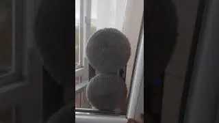 Робот пылесос для окон. (puruikai)