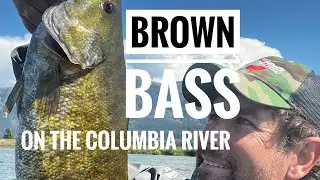 Columbia River Smallmouth Day 1