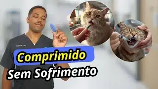 How to give a pill to an angry cat! Simple and easy.
