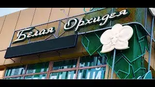 Цветочный магазин Белая Орхидея .