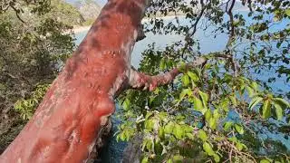 Відпочинок на морі