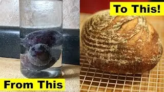Make bread: From Fruit to Finish