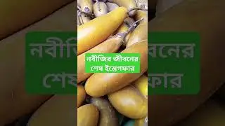 islamic Status, Islamic video, Islamic tiktok #shorts #dua #islamic #দোয়া #allah #islamicstatus