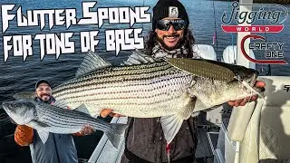 Jigging Word Flutter Spoons are Smashing Striped Bass!