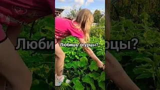 Кто нашёл тот и хозяин😆 #приколы #прикол #вайны #вайнвидео #shortvideo #shorts