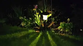 Xiaomi 11 lite 5G NE main camera night
