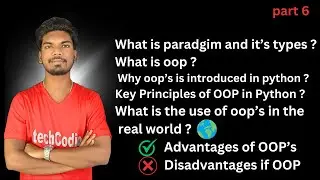 What is a paradigm? | What is Object oriented programming paradigm ?  | part 6
