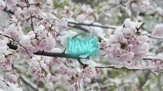 So WrØng (prod.Xaintleo) ft.LmTD